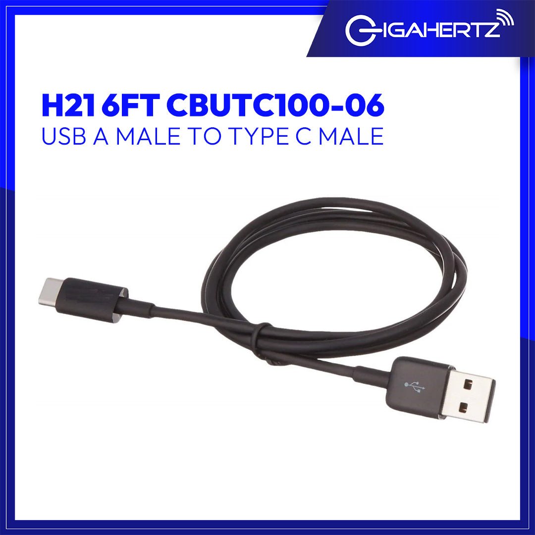 Gen H21 USB A Male To Type C Male 6ft CBUTC100 - 06 | Gigahertz