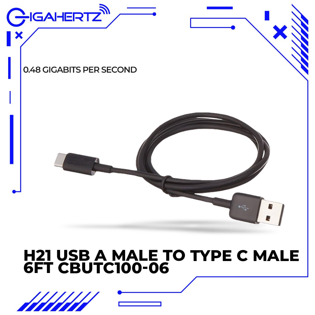 Gen H21 USB A Male To Type C Male 6ft CBUTC100 - 06 | Gigahertz