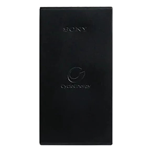 Sony CP - F10L/BC 10000mAh | Gigahertz